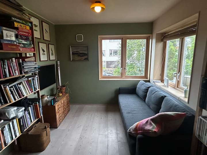 电视房配有沙发床，可变成双人床 