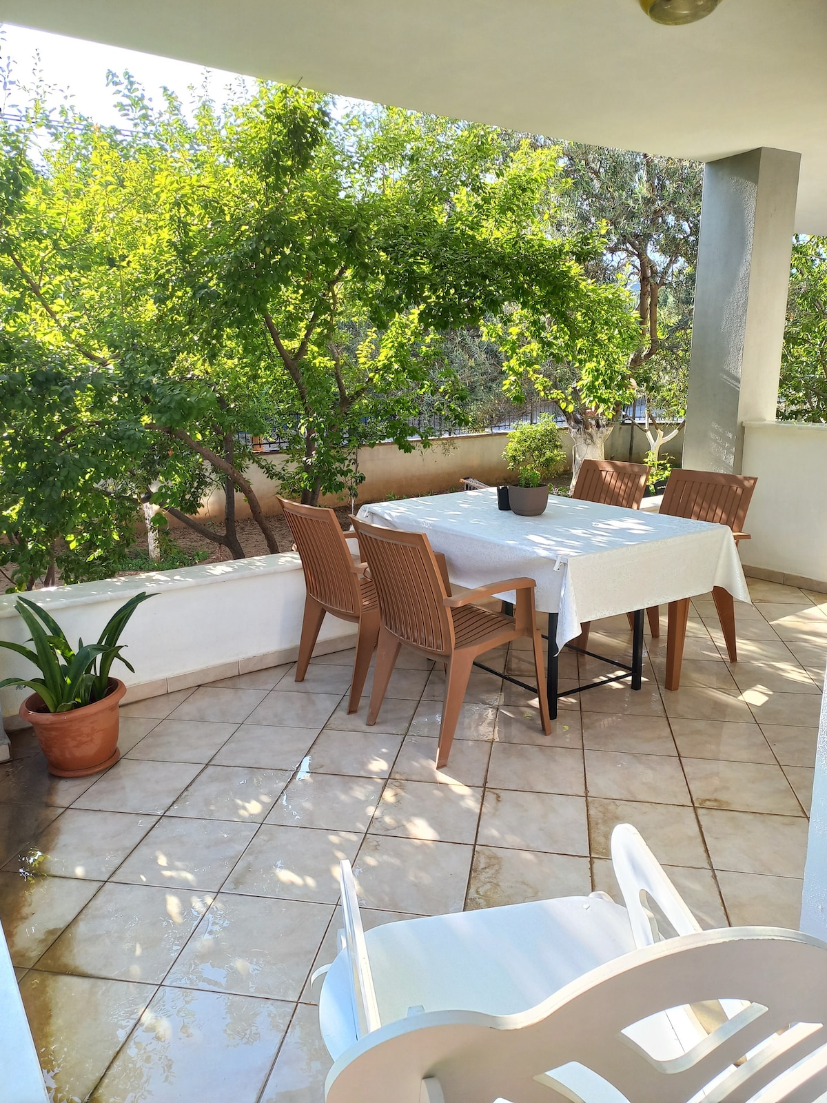 A covered terrace is shown with a rectangular dining table surrounded by six chairs. Natural light filters through leafy trees, providing a serene setting. A potted plant is visible on the table, while tiled flooring complements the outdoor space.