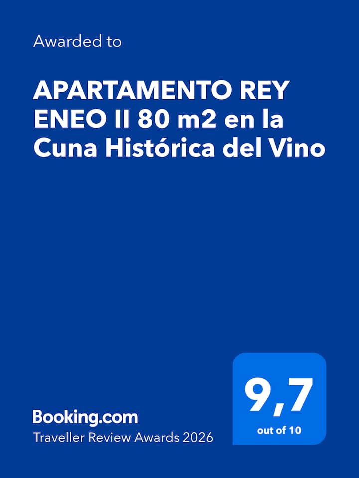 Apartamento Rey Eneo Ii.
Cuna Histórica Del Vino - Miranda de Ebro