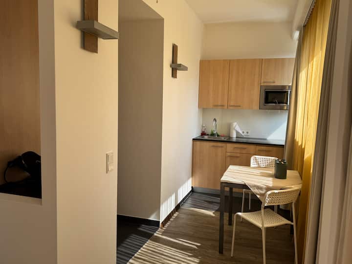 Leon Studio Apartment In Vienna(3 Sleeping Places) - ウィーン