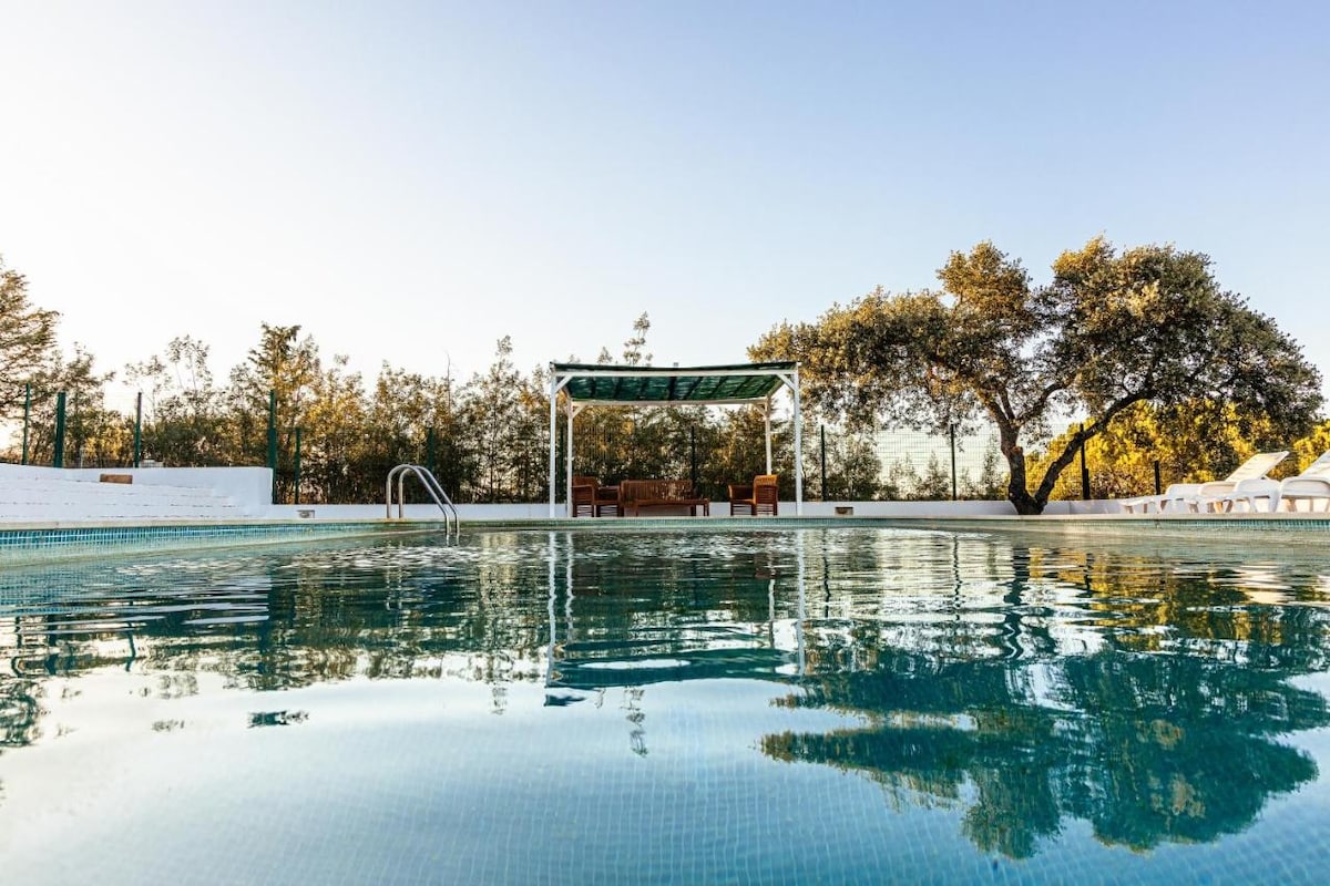 A spacious swimming pool is surrounded by lush greenery, reflecting the clear sky above. A shaded seating area with wooden furniture is visible nearby, providing a tranquil spot for relaxation. Olive trees and other plants border the pool area, enhancing the serene outdoor environment.