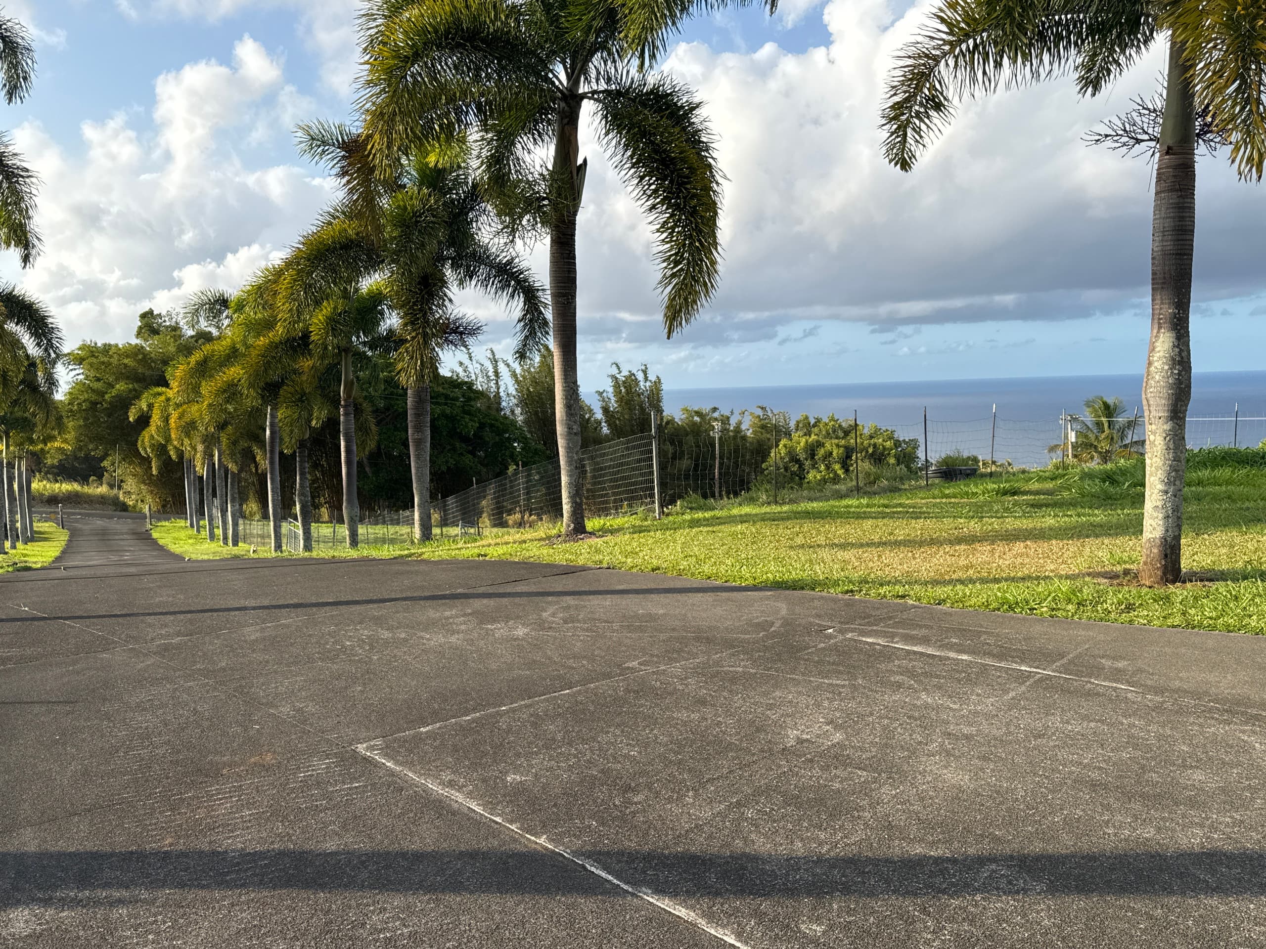 Hamakua Lychee farm Guest House - Photo 14