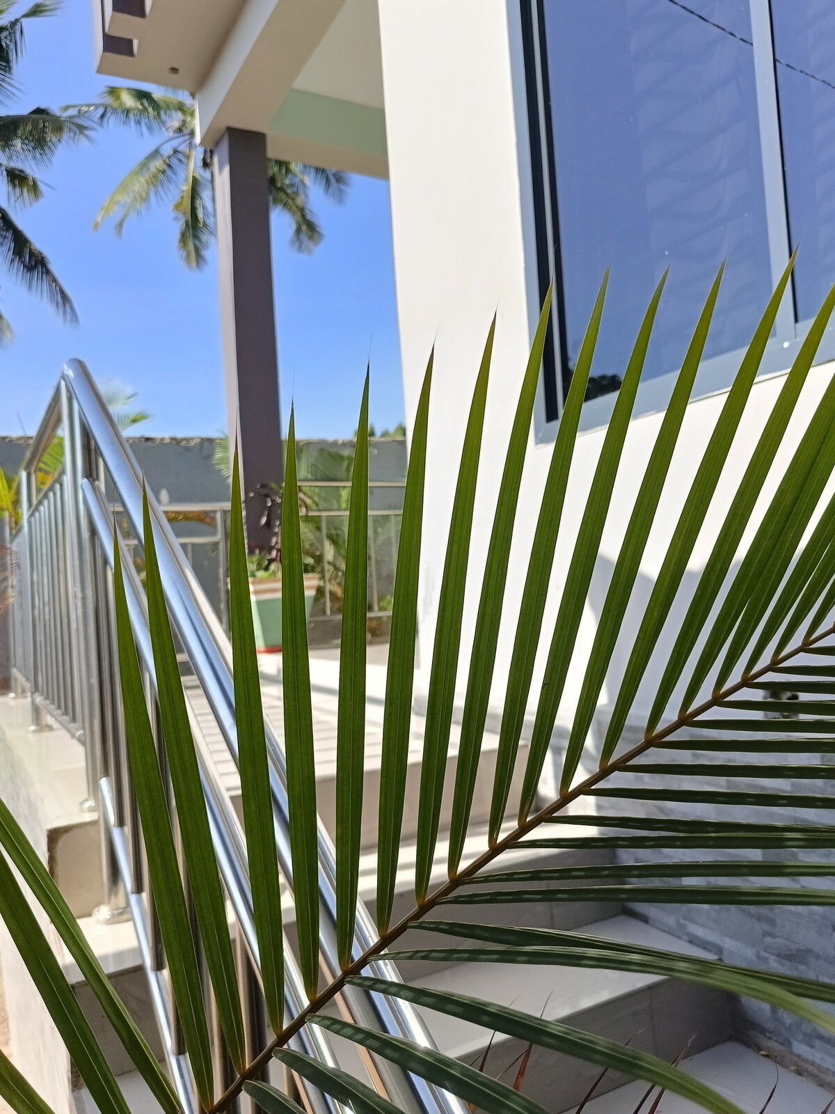 A modern building features a sleek, metallic rail leading up to the entrance. Lush palm fronds partially frame the image, suggesting a tropical ambiance. Natural light illuminates the space, highlighting the clean lines and contemporary design of the structure.