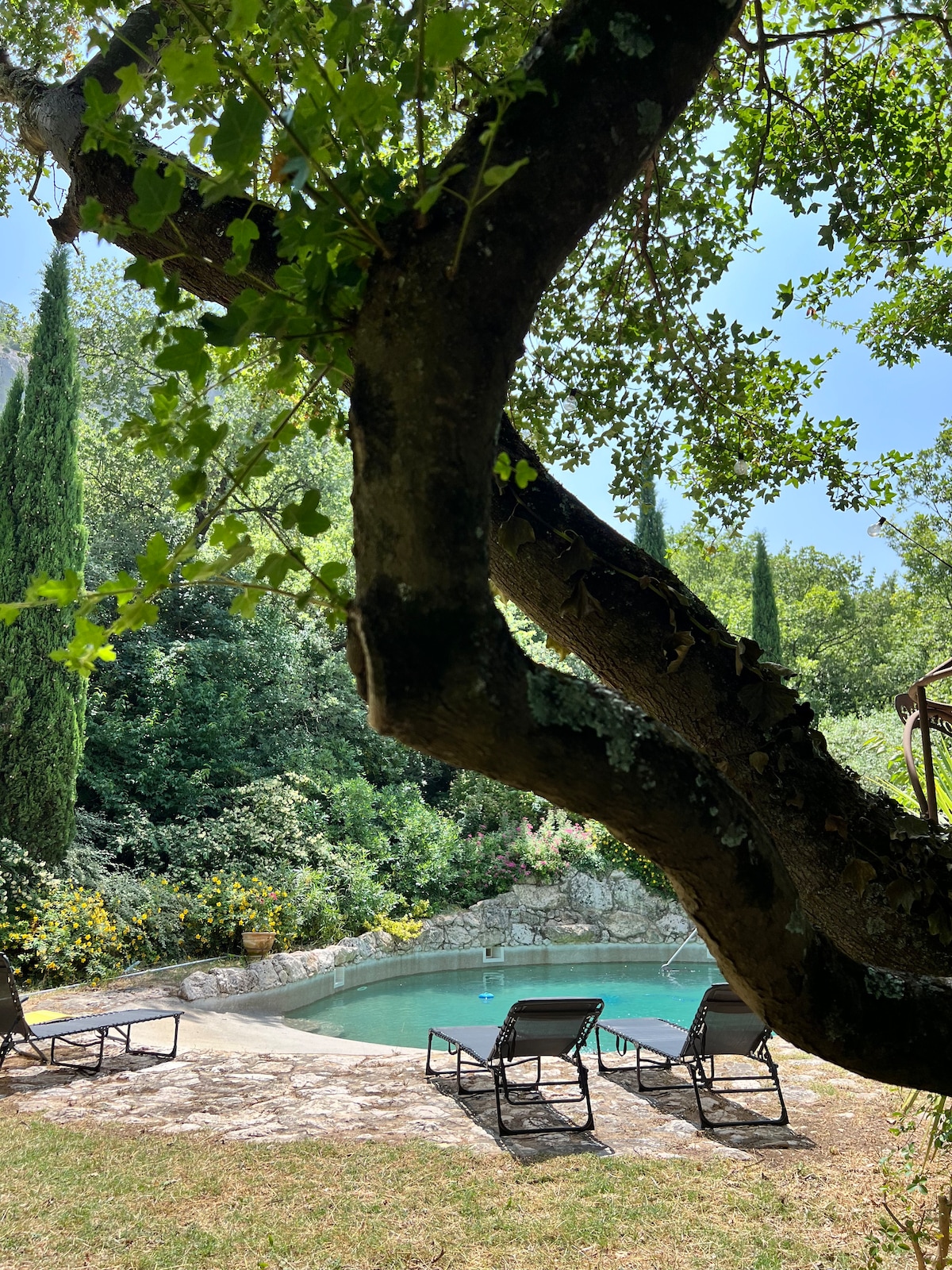 A tranquil pool area is framed by lush greenery, with a stone terrace partially visible. Several lounge chairs are arranged around the pool, inviting relaxation under the shade of nearby trees.