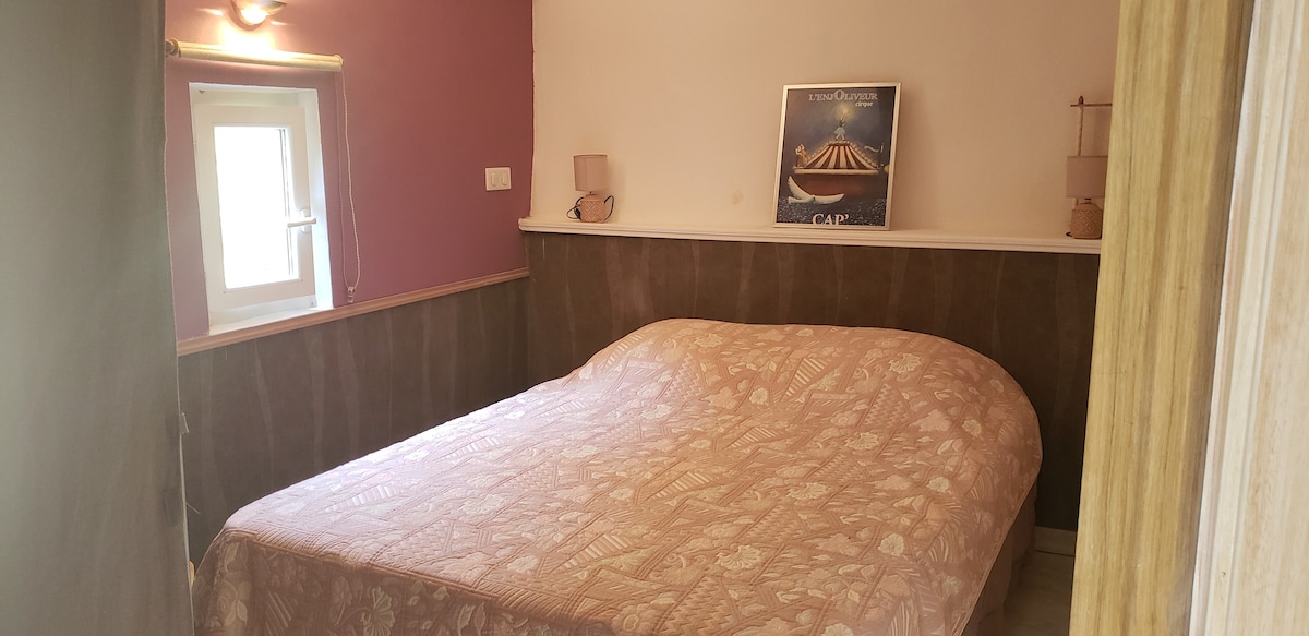 Звездно семе 