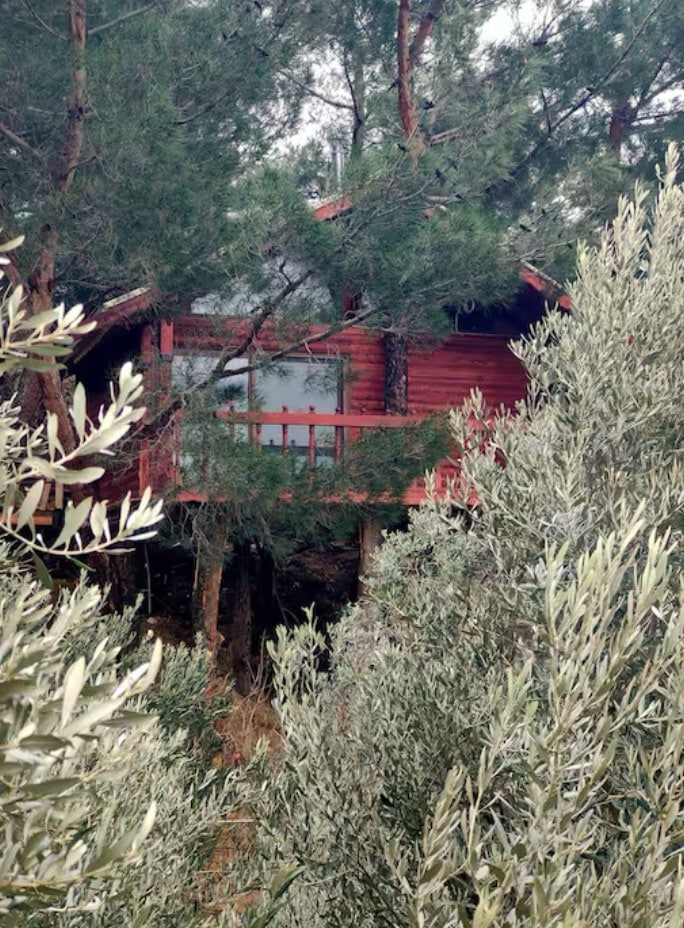 A red wooden cabin is nestled among tall trees, elevated above the ground. The balcony offers a glimpse of the surrounding greenery, with lush, silvery foliage framing the view. The natural setting emphasizes privacy and harmony with the environment.