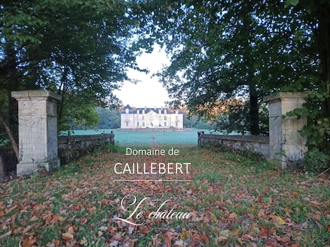 Castle of Caillebert: royal stay 2.5h from Paris