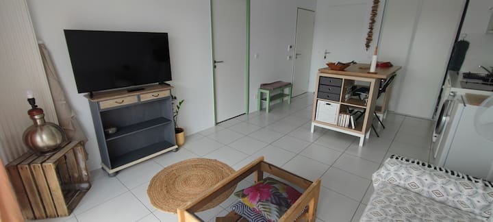 Appartement Entier 2 Pièces, Bruges (33520) - Eysines