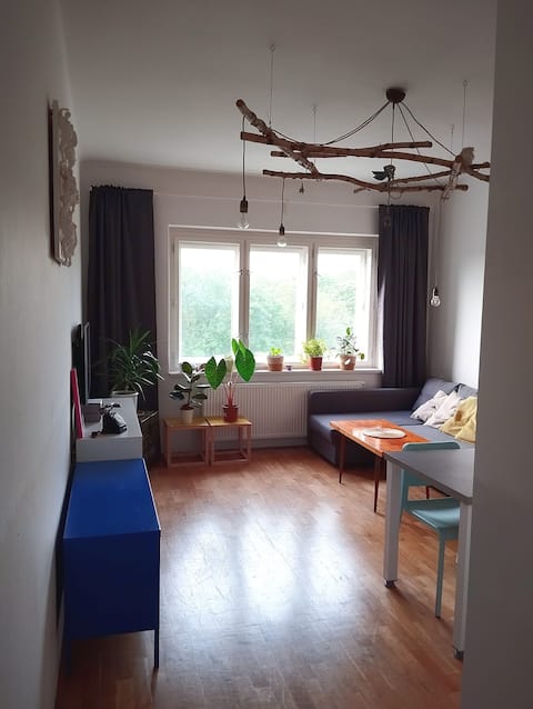 Bright apartment in a good location.