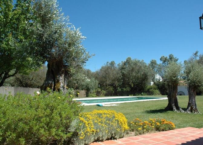 Quinta do Jogo gallery image 3