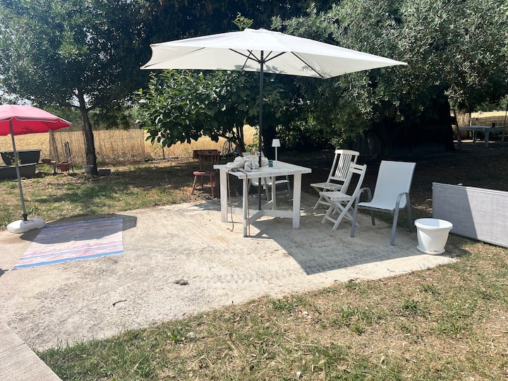Posto Tenda Tra Gli Ulivi. - Vasto