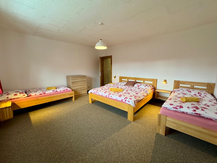 Habitación 1