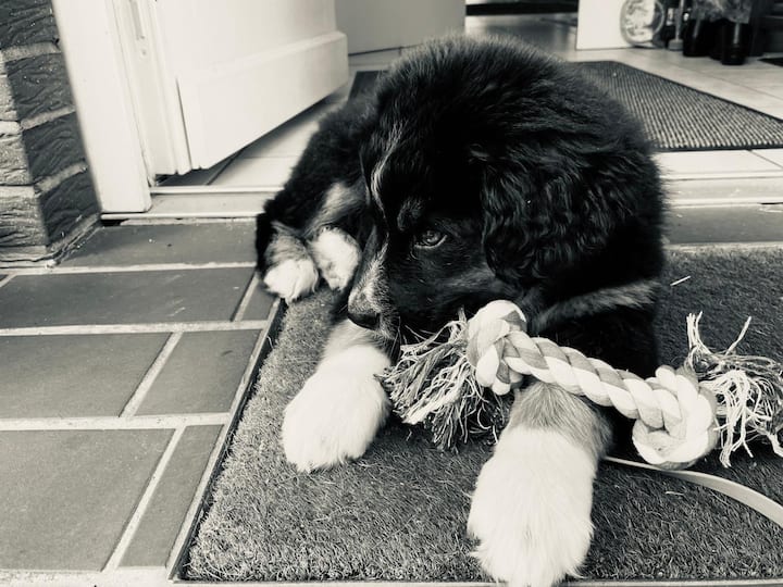 Дневен простор