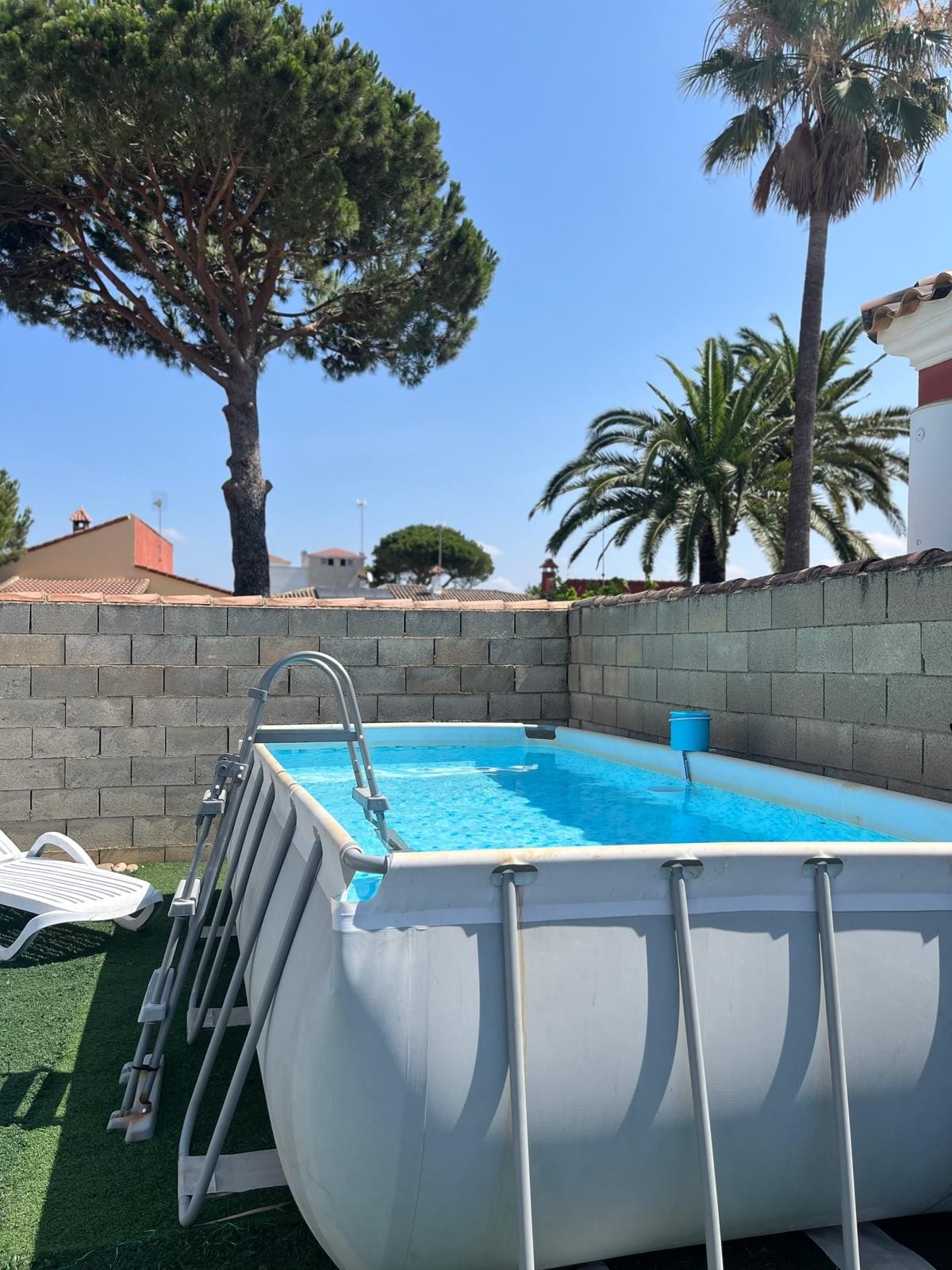 A freestanding pool is set in a sunlit outdoor area, surrounded by tall palm and pine trees. A light blue ladder is attached to the pool's edge. Lush green grass covers the ground, with white lounge chairs positioned nearby.