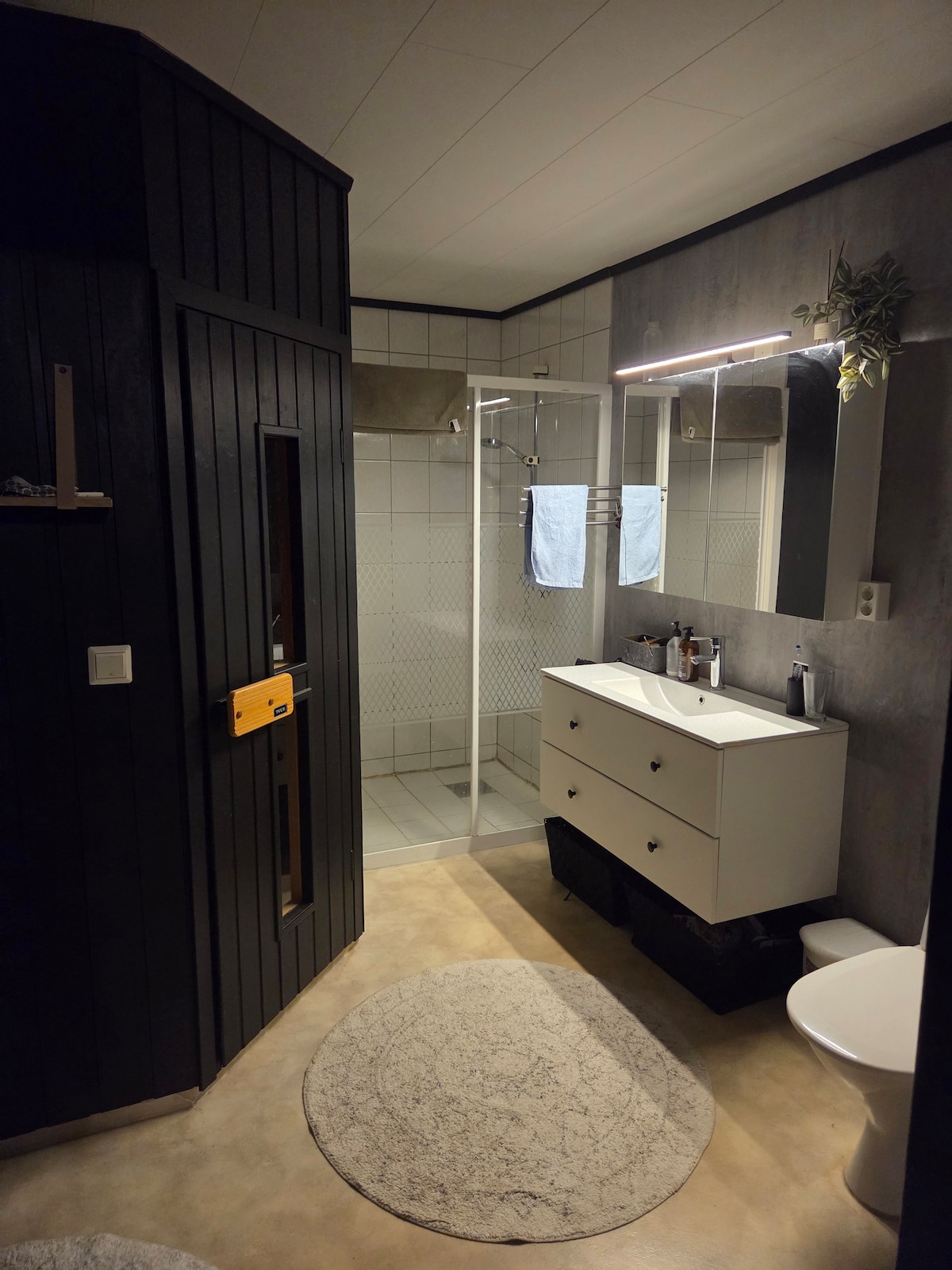 A modern bathroom is displayed, featuring a glass shower enclosure and a sleek white vanity with storage space. A round area rug is placed on the floor, complementing the neutral color palette. Natural light illuminates the space, highlighting wall accents and functional fixtures.