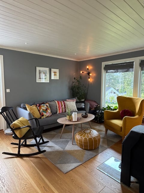 Successful Airbnb property: Cozy detached house with large veranda and garden, Geilo in Hol