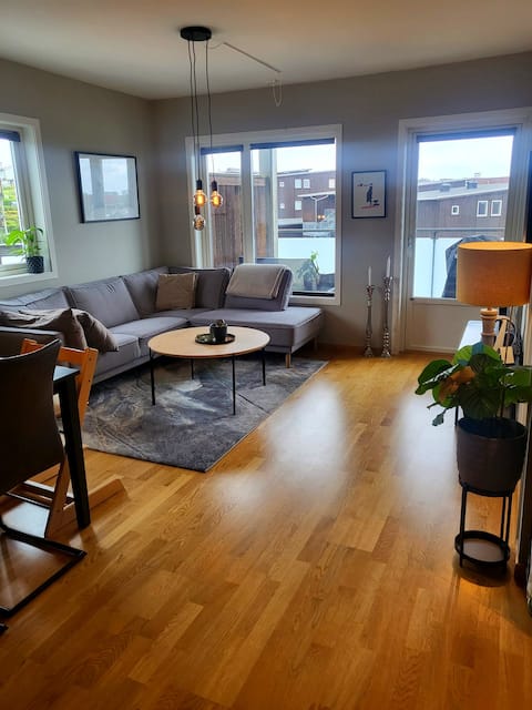 Central apartment