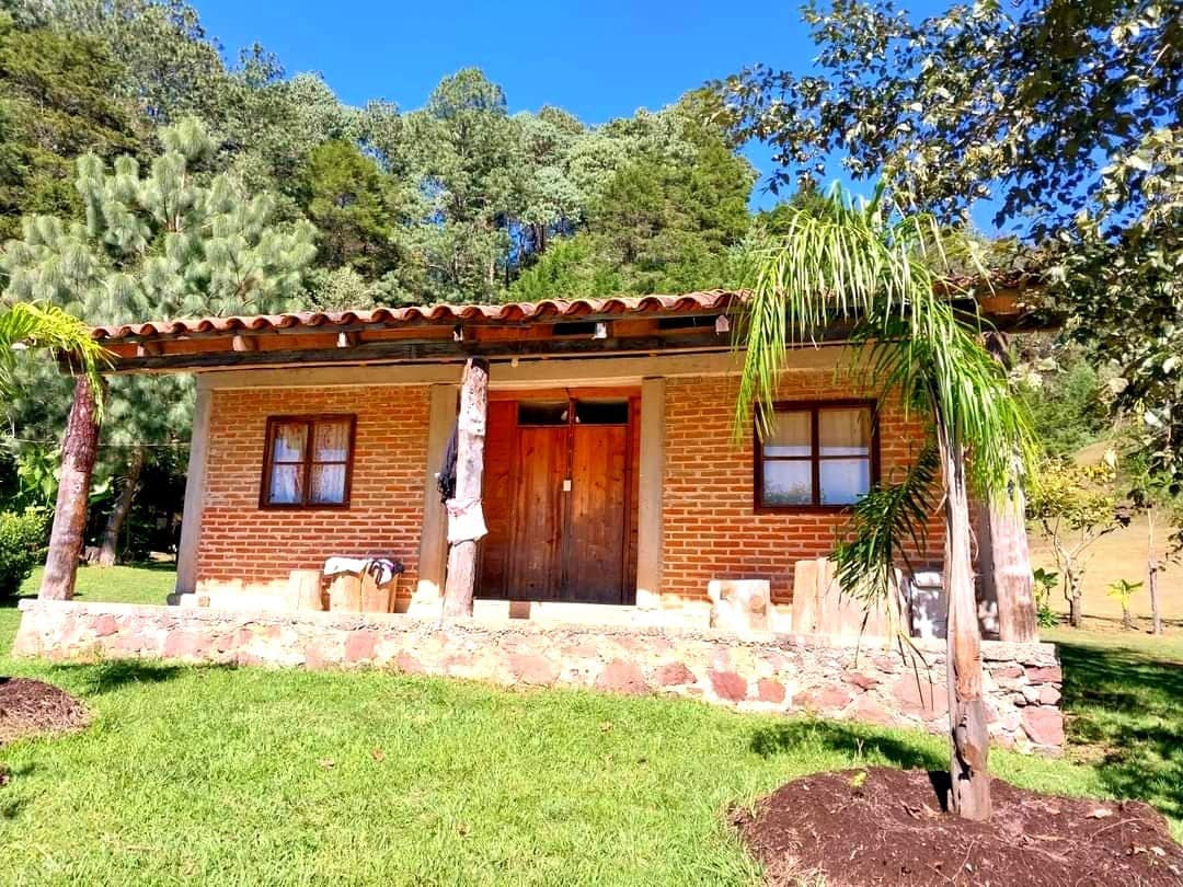 A charming brick cottage is showcased under clear blue skies. Wooden doors and window frames complement the natural surroundings, while well-maintained greenery and palm trees enhance the setting. A stone pathway leads to the entrance, inviting guests to enjoy the serene outdoor space.