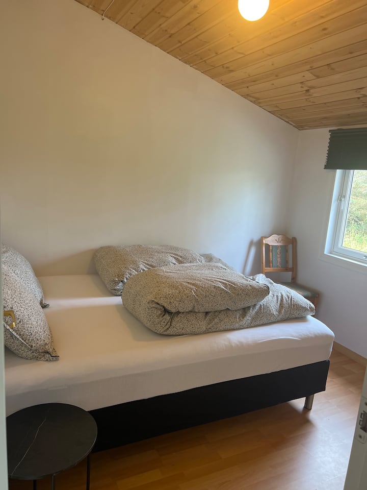 საძინებელი 1