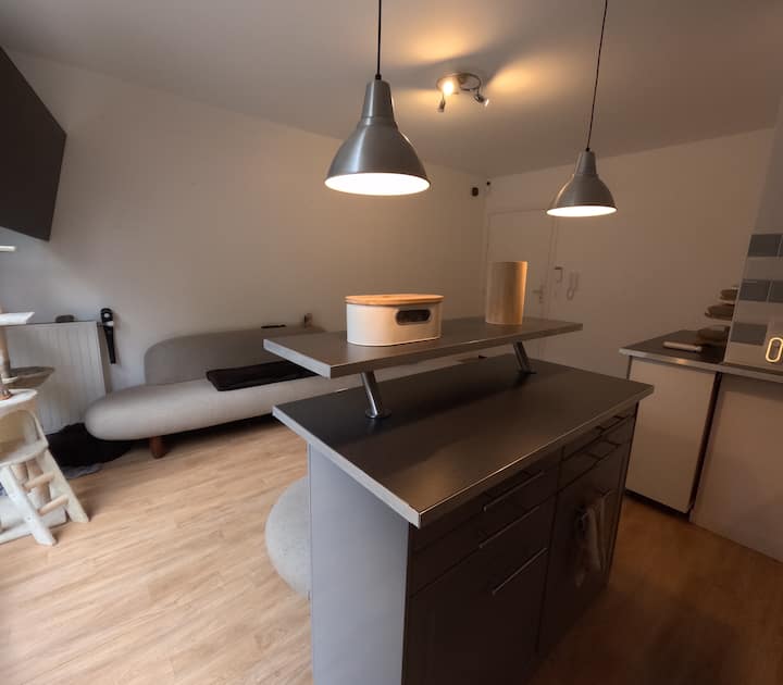 Chambre Privée Chez L’habitant - Jardin & Transats - Rosny-sous-Bois