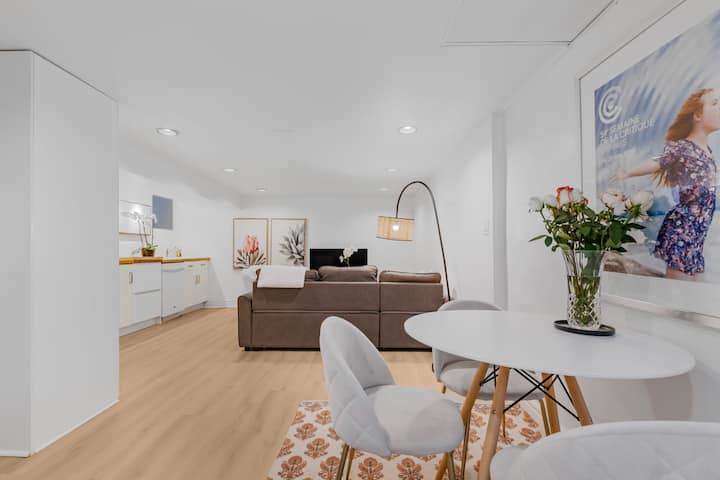 Large 1-bedroom Separate Suite - Trinity-bellwoods - Toronto