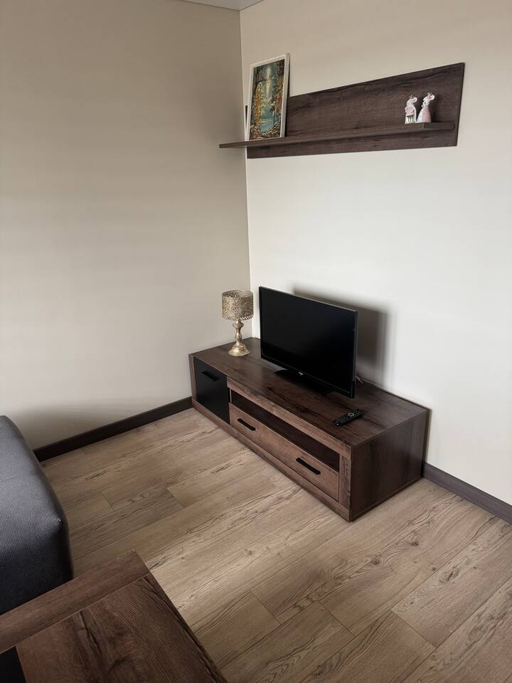 Apartment In Anykščiai - Lithuania