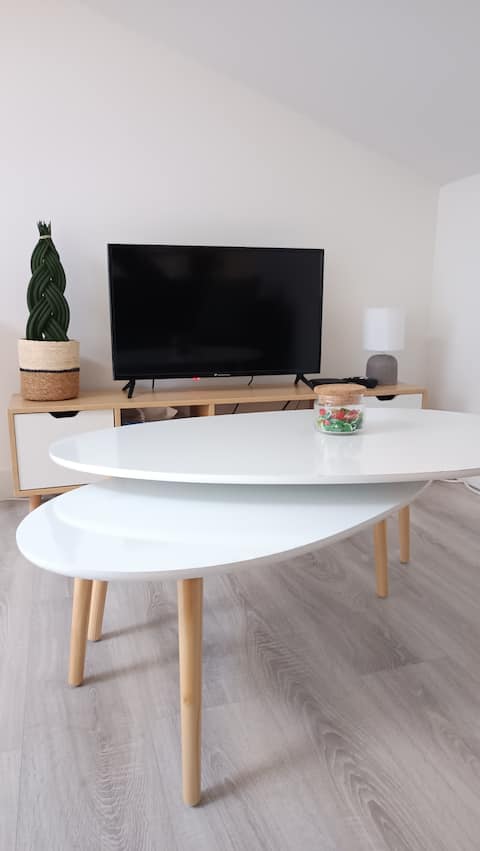 Successful Airbnb property: Bohemian cocoon in Roanne in Roanne
