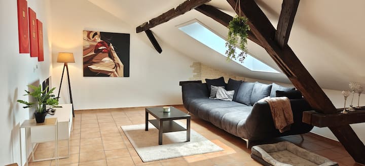 Loft Mit Weiherblick Im Fränkischen Seenland - Weißenburg in Bayern
