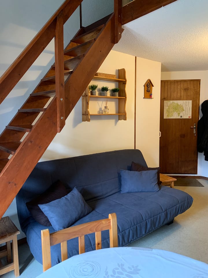 Appartement Le Lioran - 米拉