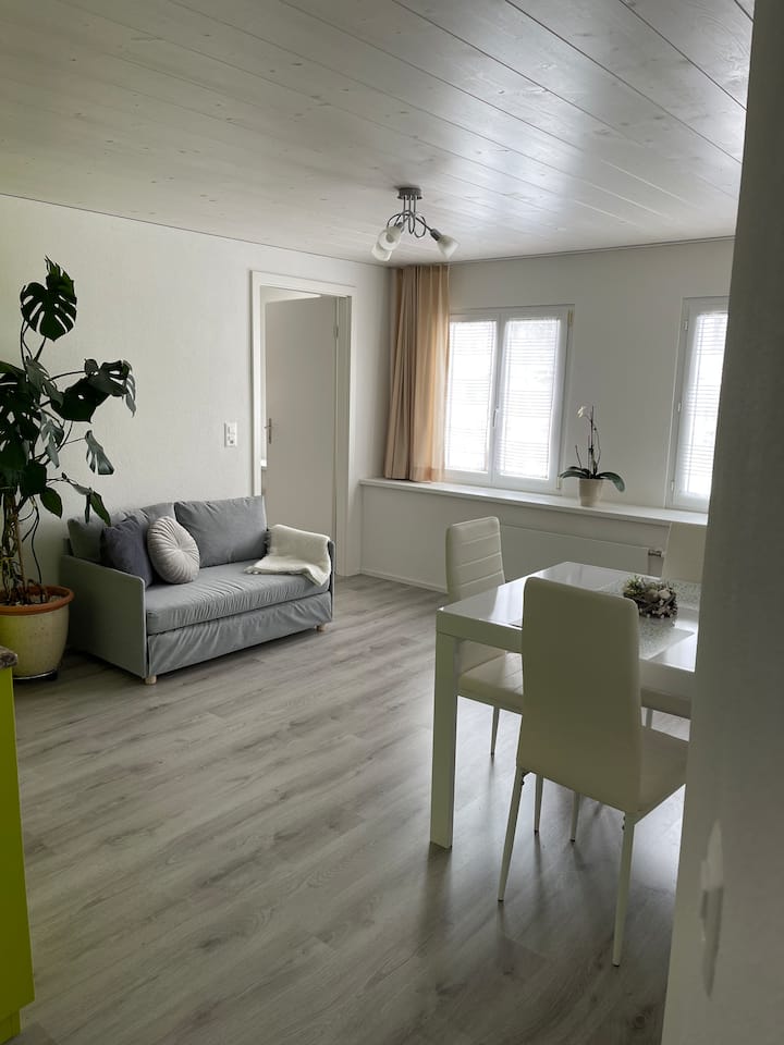 Wohnung Im Herzen Von Bühler - Appenzell