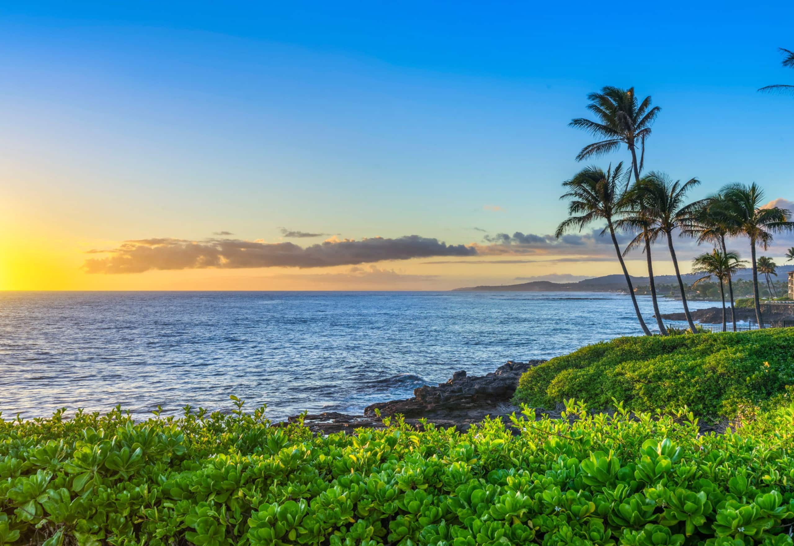 Condo in Koloa · ★5.0 · 2 bedrooms · 2 beds · 2 baths - Image 48