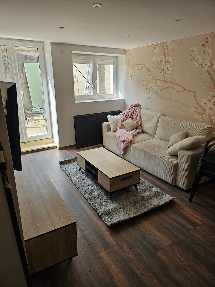 Maison 100m2 + Cour Privée 20m2 - Lorraine