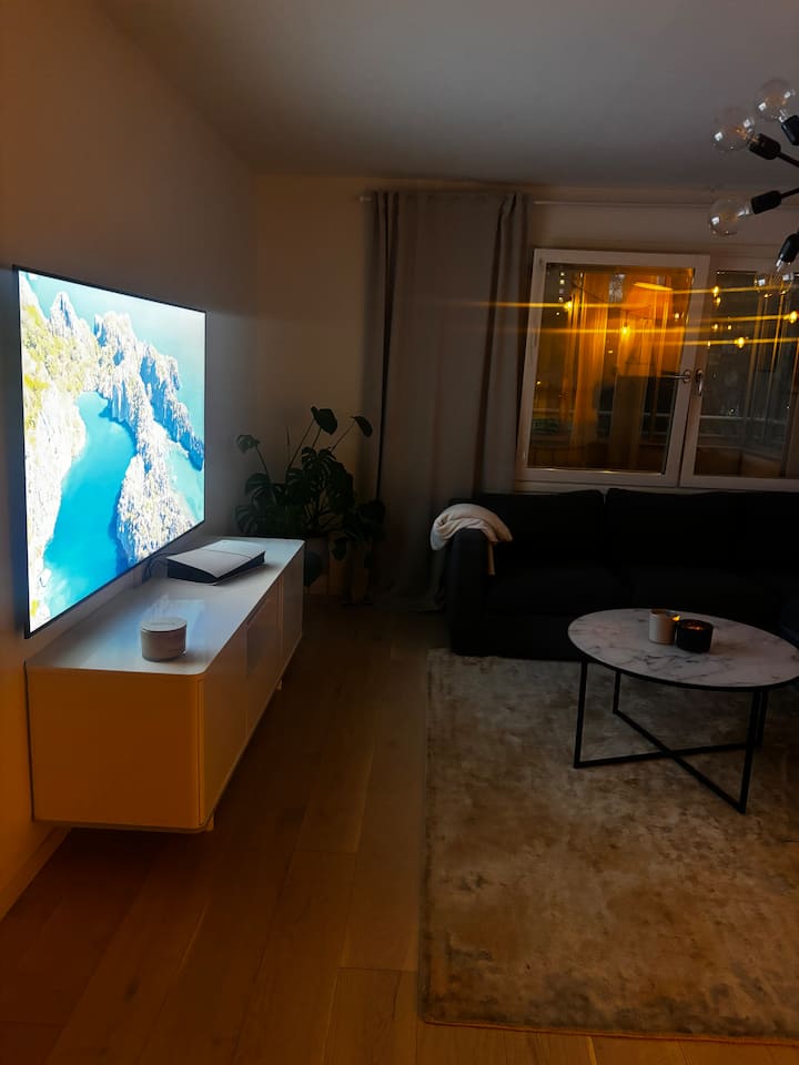 En Stor Lägenhet Nära Centrum - Stockholm