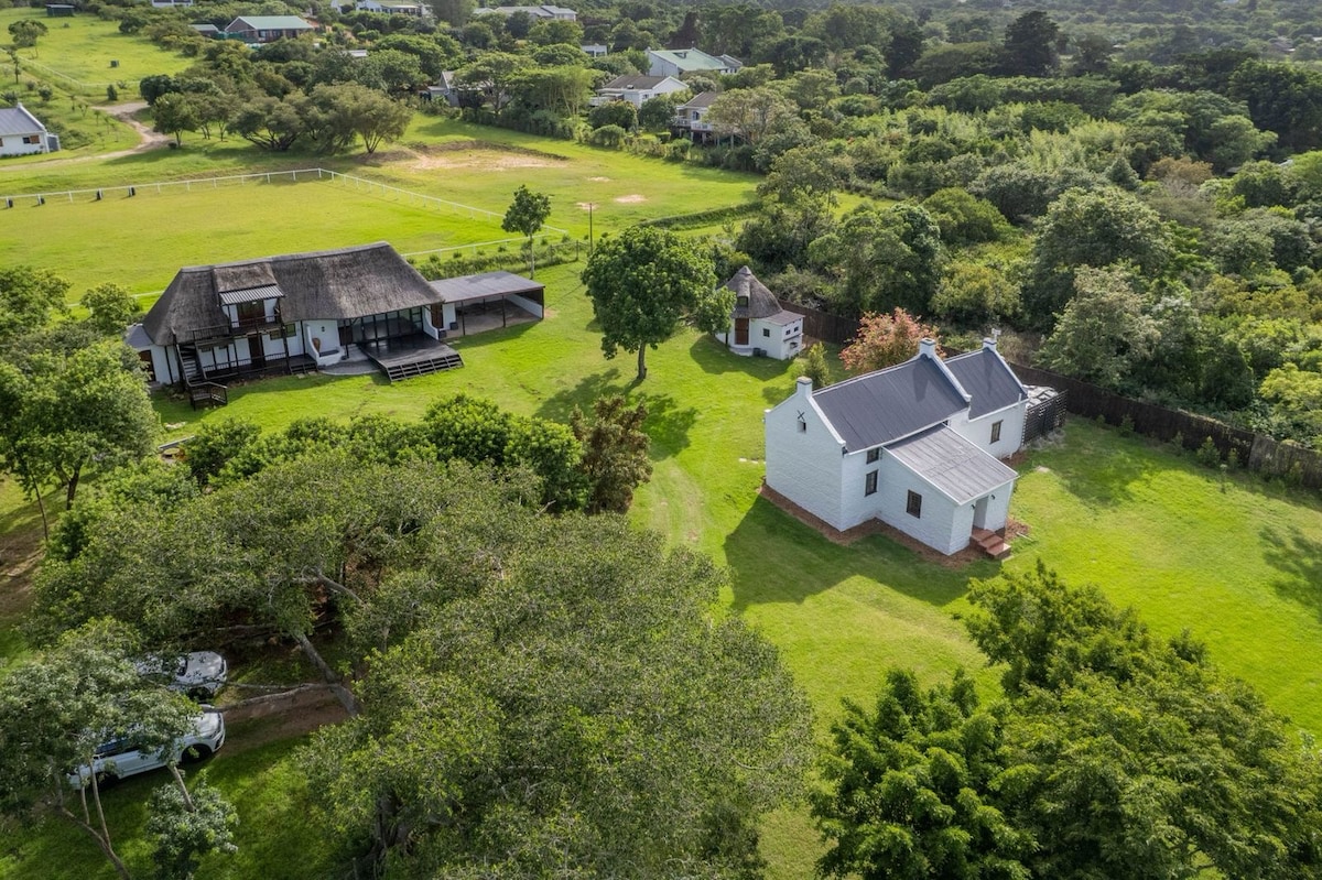 An aerial view captures a spacious green landscape featuring two distinct cottages. One cottage is adorned with a thatched roof and large deck, while another is a white structure with a grey roof. Lush trees and foliage surround the properties, enhancing the serene setting.