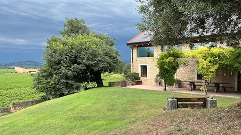 Large villa between Verona and Venice