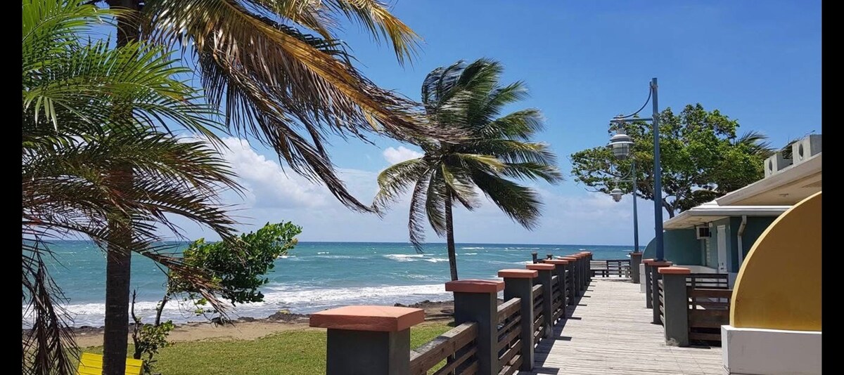 A serene coastal scene captures a wooden walkway lined with palm trees, leading towards the ocean. Gentle waves can be seen under a clear blue sky, while lush greenery frames the area, contributing to a relaxed beachfront atmosphere.