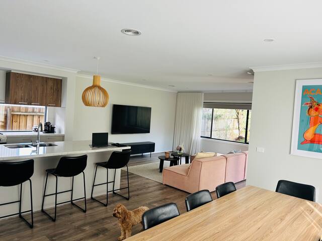 Modern home, walk to beach/shops gallery image 5