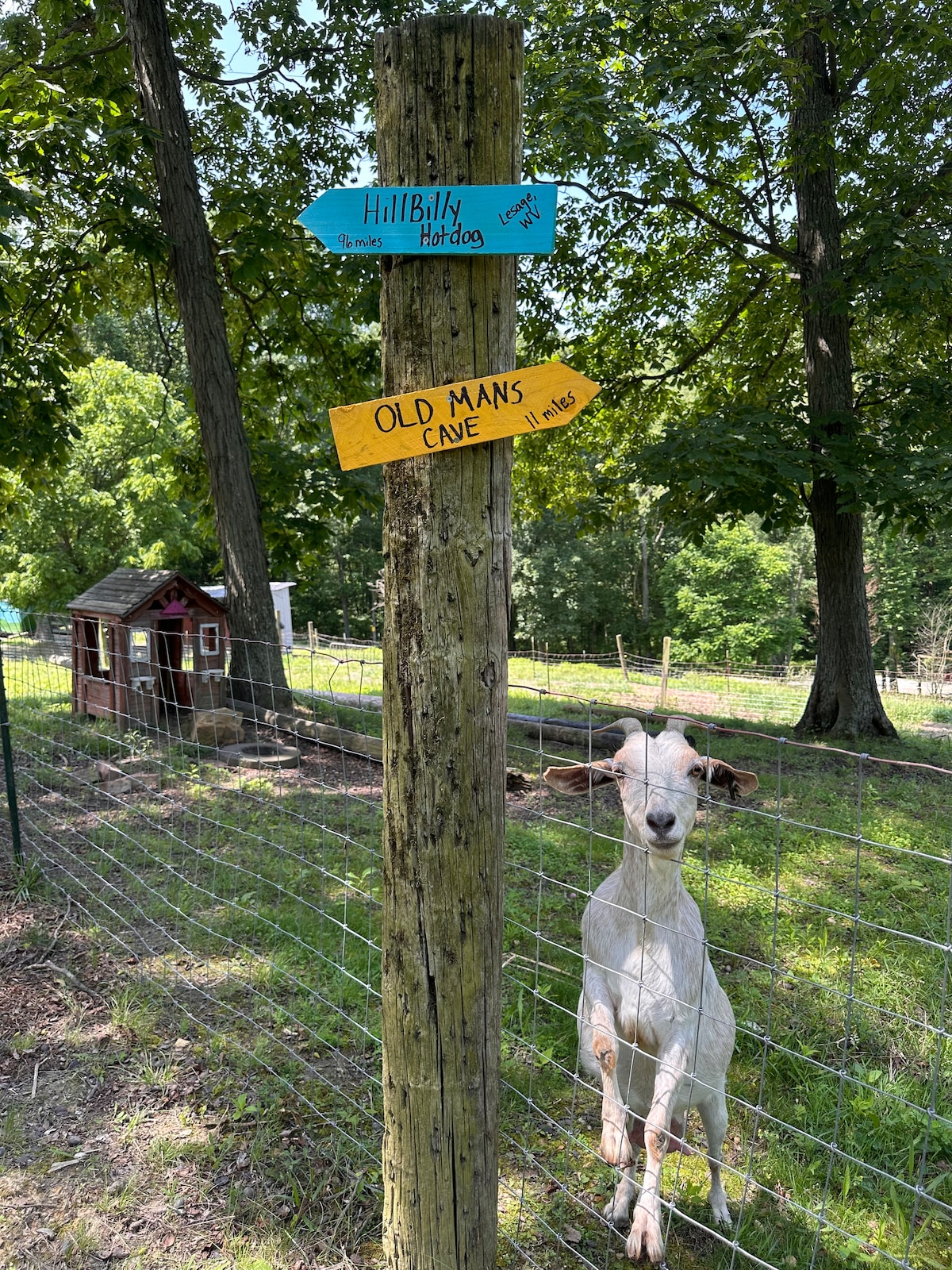 Hocking Hills Hillbilly Holler Unique, Fun & goats - Houses for