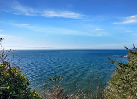 Ocean Front Ranch for 8