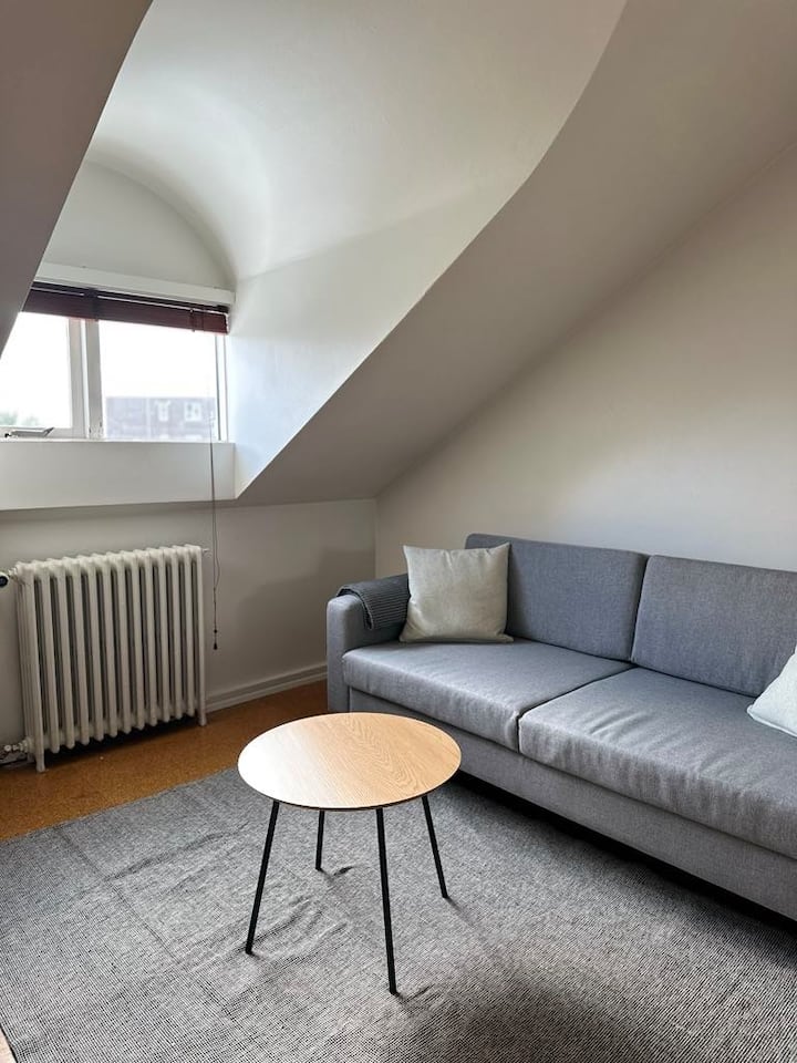 Cosy Attic Apartment Reykjavík - 雷克雅維克