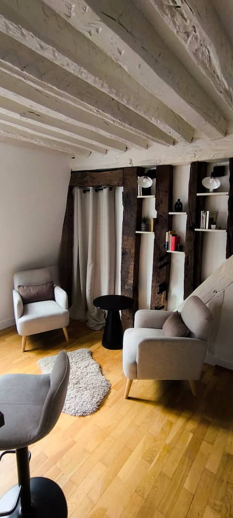 Propriété Airbnb réussie: Adorable duplex in central Paris à Paris 1er Arrondissement