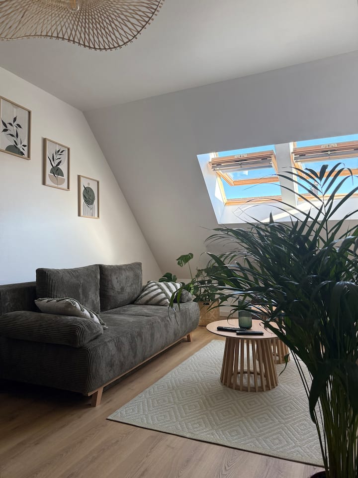Duplex Au Cœur De Ville - Lons-le-Saunier