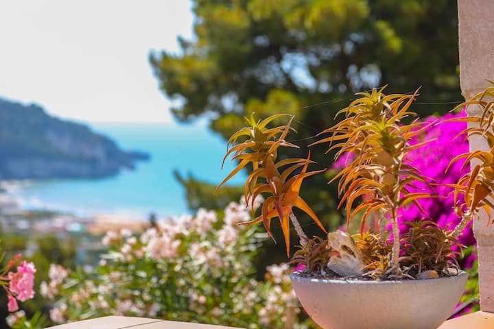 Appartamento Conte Cavour - Peschici