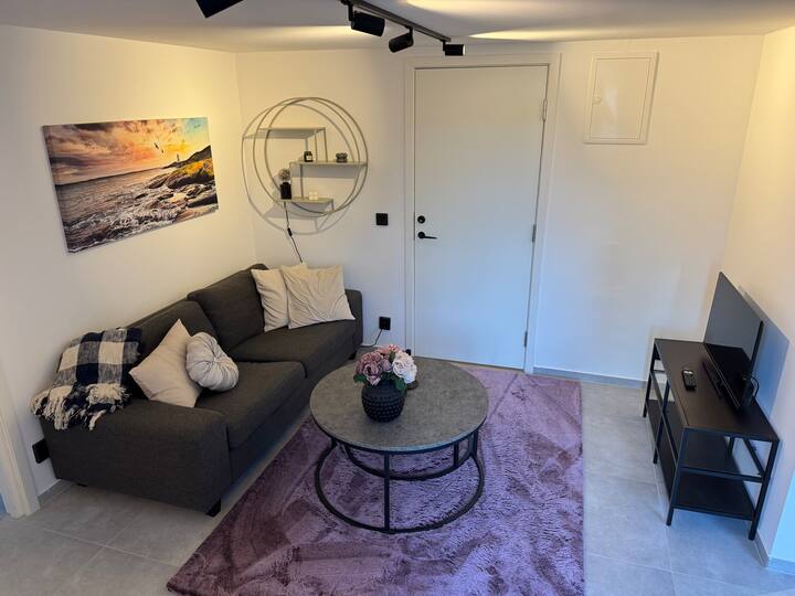 City-close Villa Apartment - Göteborg