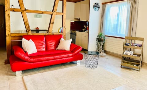 Successful Airbnb property: cozy studio in Ostschweiz