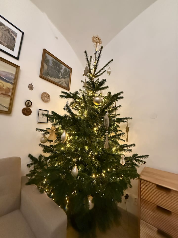 Top Location Apartment In The Centre Of  Old Town - Košice