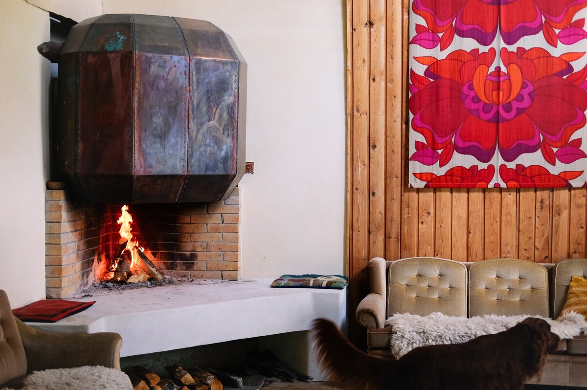 A cozy living area features a large, unique fireplace with a copper design, displaying a cheerful flame. A colorful floral wall hanging adds vibrancy to the wooden paneled wall. Plush sofas provide comfortable seating, with warm throws draped over them.