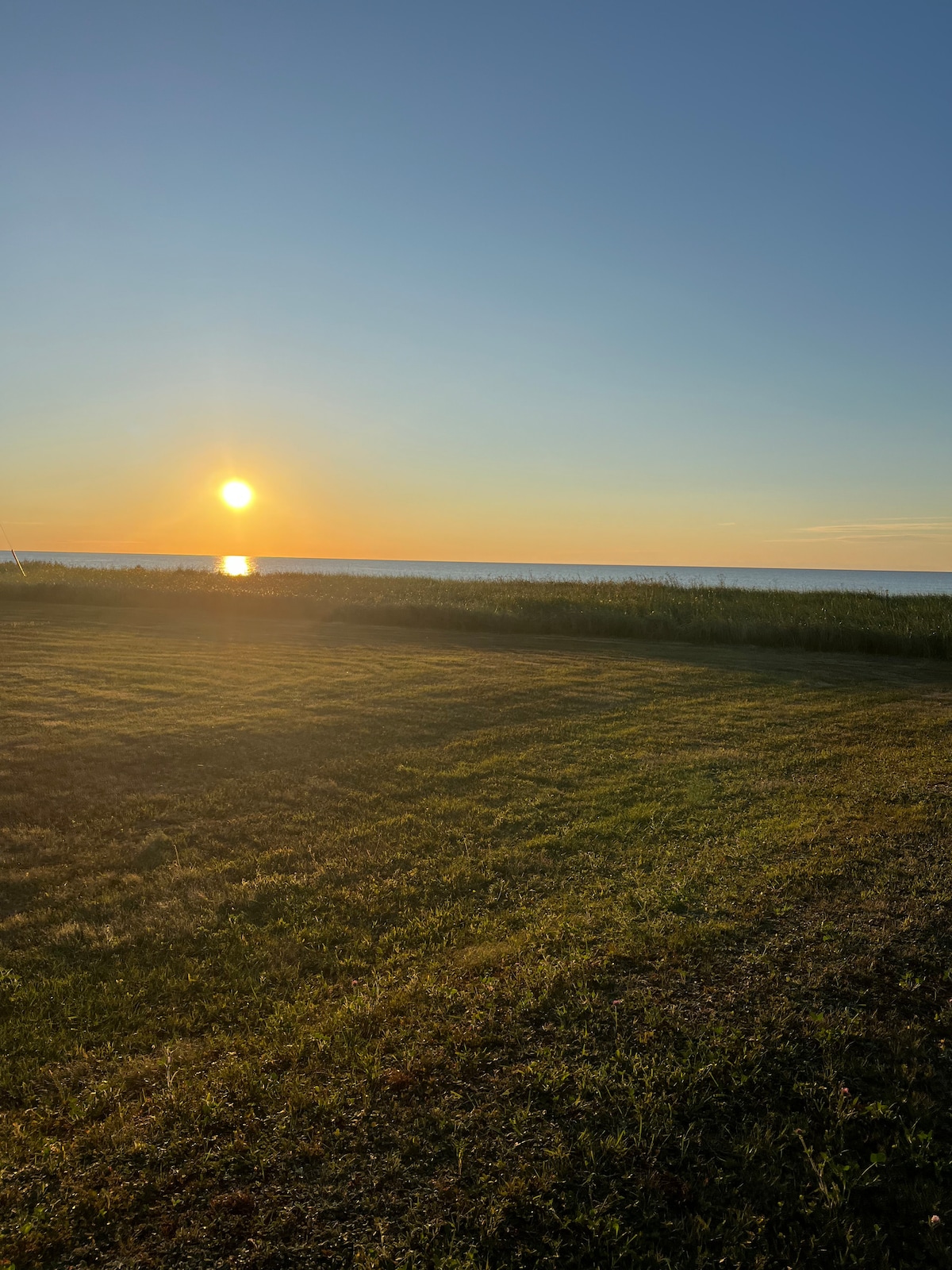 A serene view captures the sunset over the water, with soft golden rays reflecting off the horizon. Lush green grass stretches across the foreground, gently illuminated by the evening light.