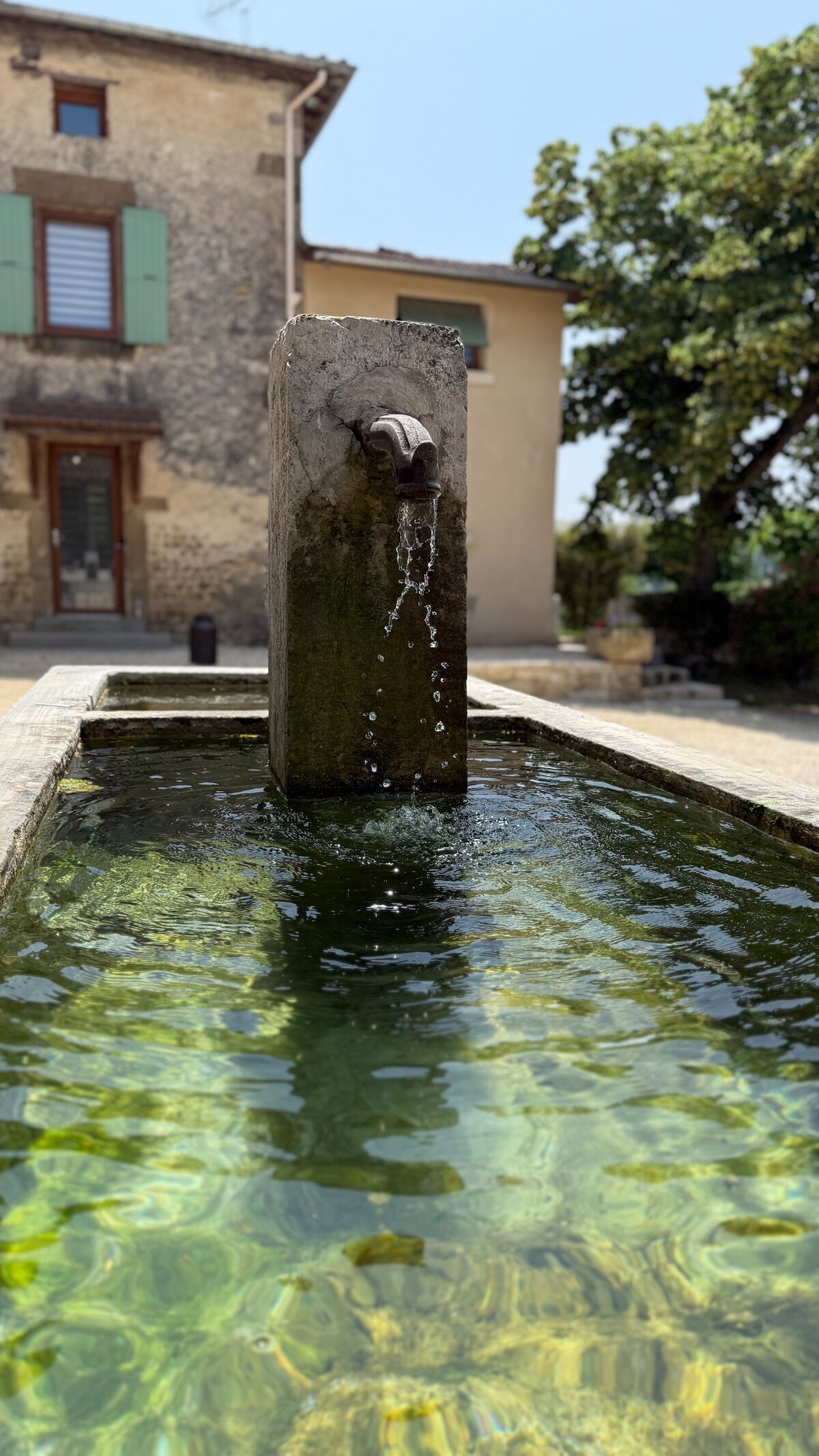 A stone fountain features a spout where water flows steadily into a rectangular basin filled with clear water. The surrounding area includes a building with green shutters and a lush tree partially shaded in the background.