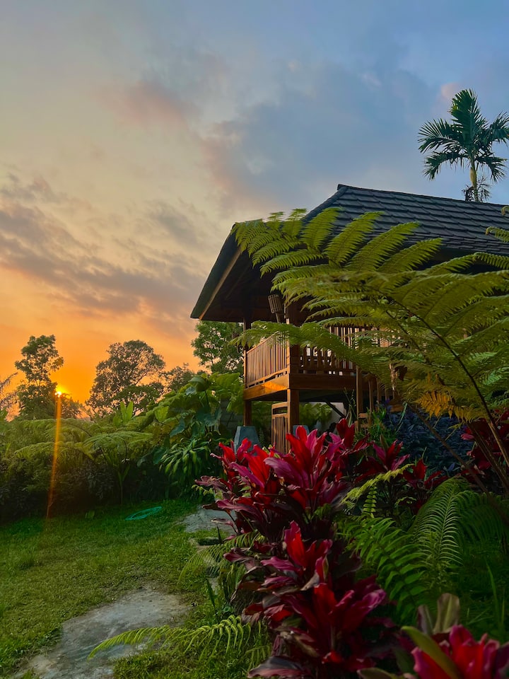 Dopi Rinjani Homestay - Lombok